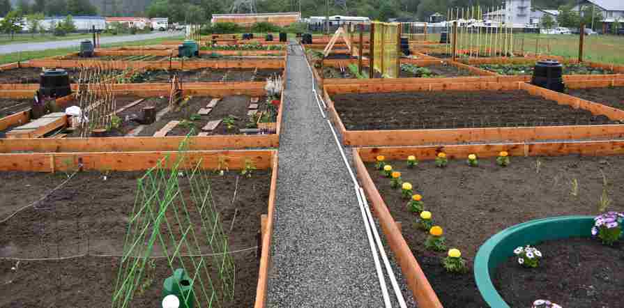 Community garden with people