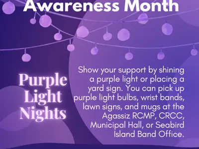 Purple Light Nights Poster