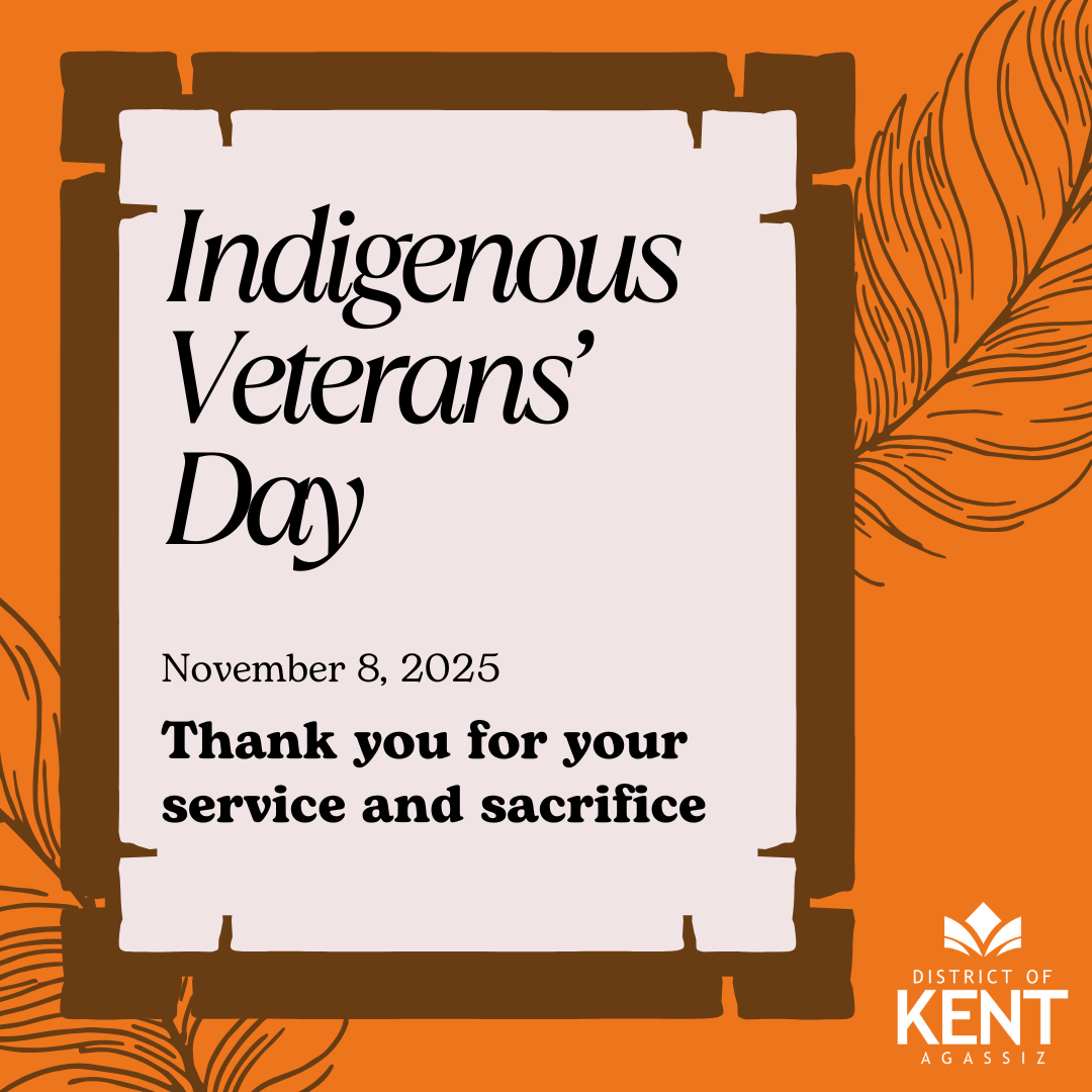 Indigenous Veterans' Day Poster