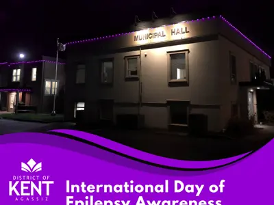 Epilepsy-Awareness.png