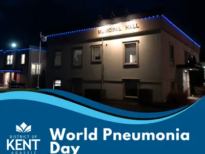 World-Pneumonia-Day.png
