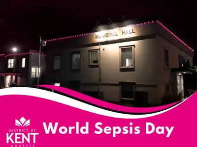 World-Sepsis-.png